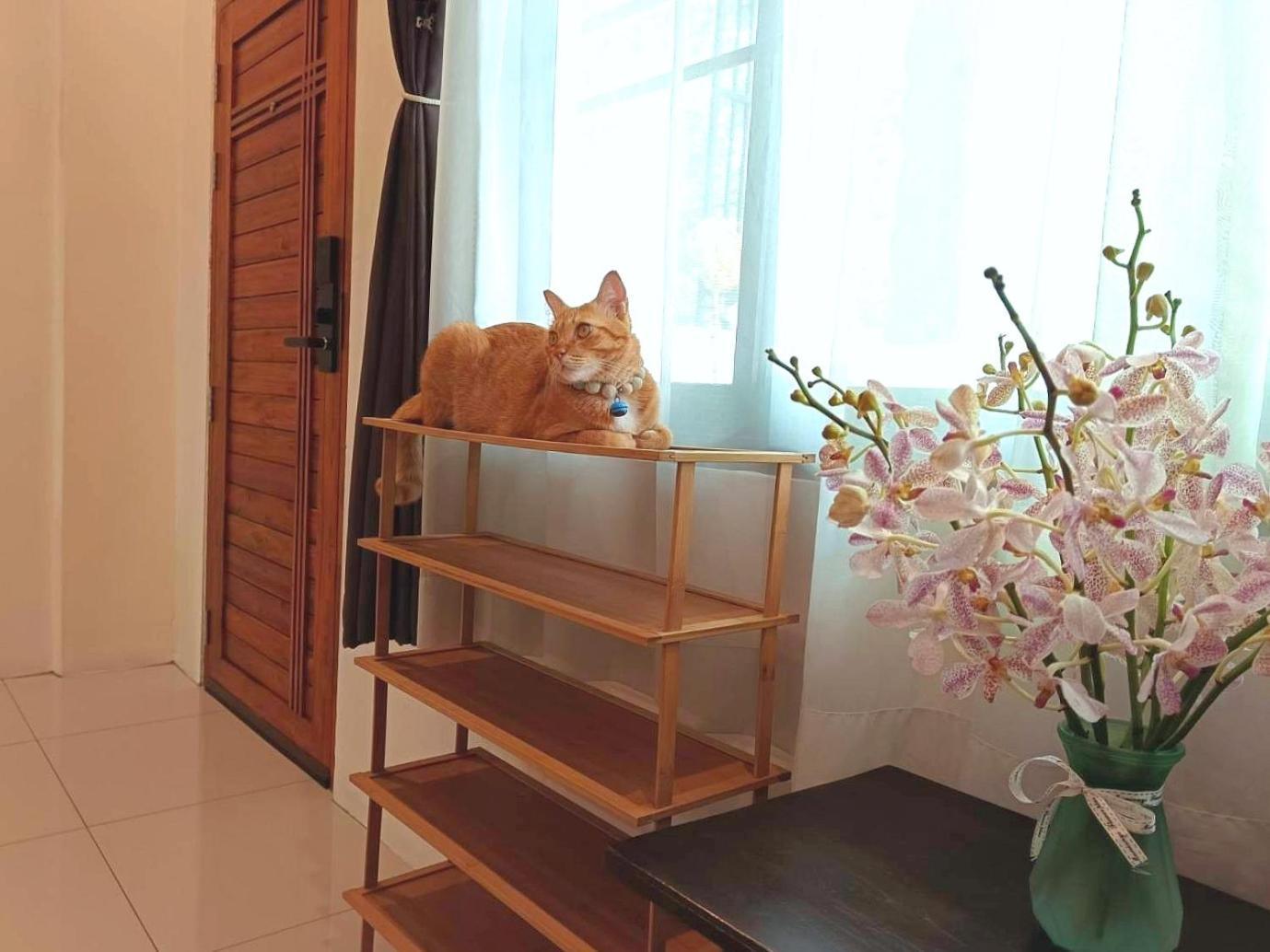 Sasima Bed And Breakfast Chiang Mai Bagian luar foto