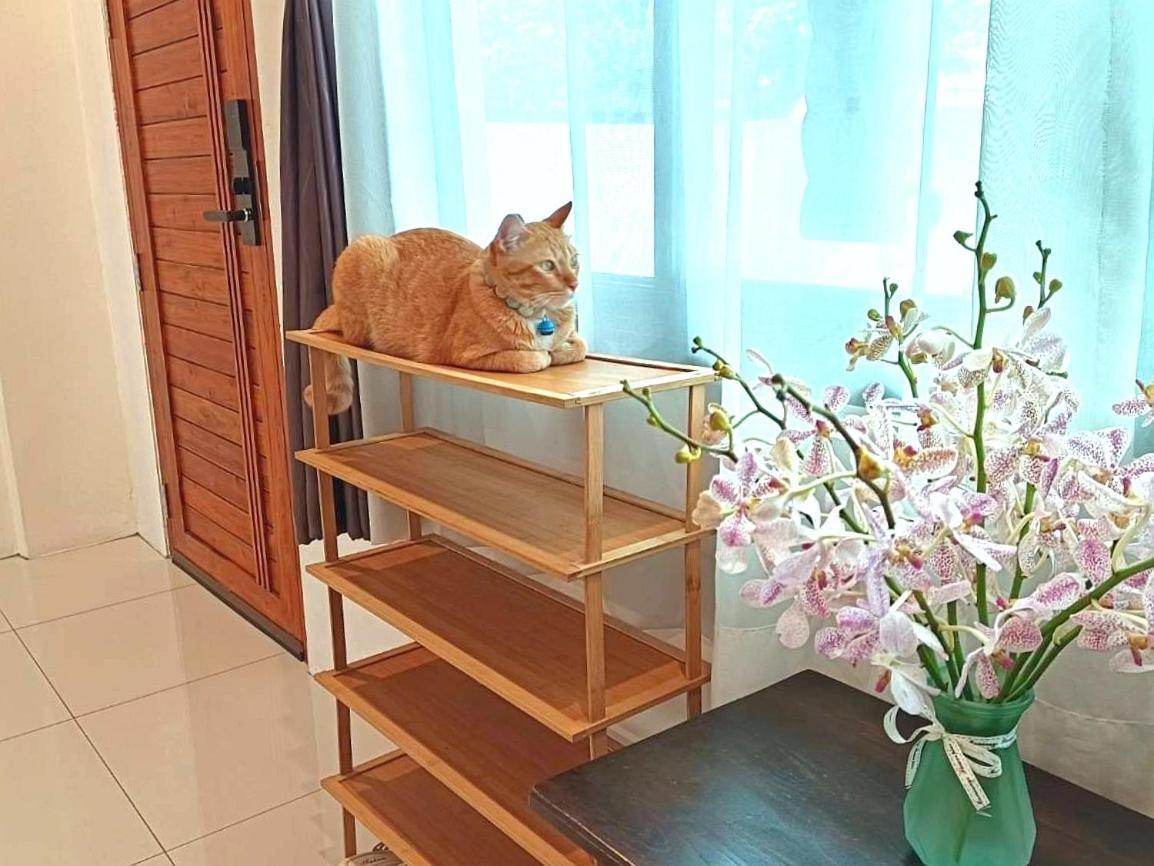 Sasima Bed And Breakfast Chiang Mai Bagian luar foto
